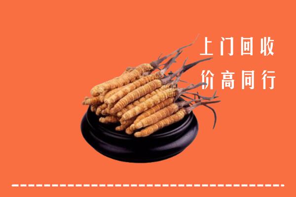 高价求购：镇宁县回收散虫草
