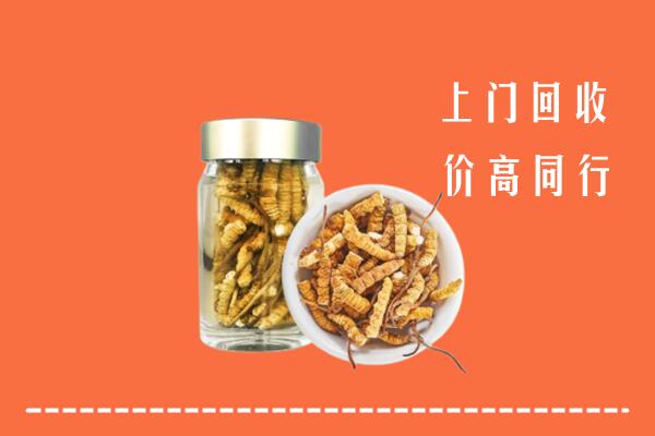 镇宁县回收冬虫夏草